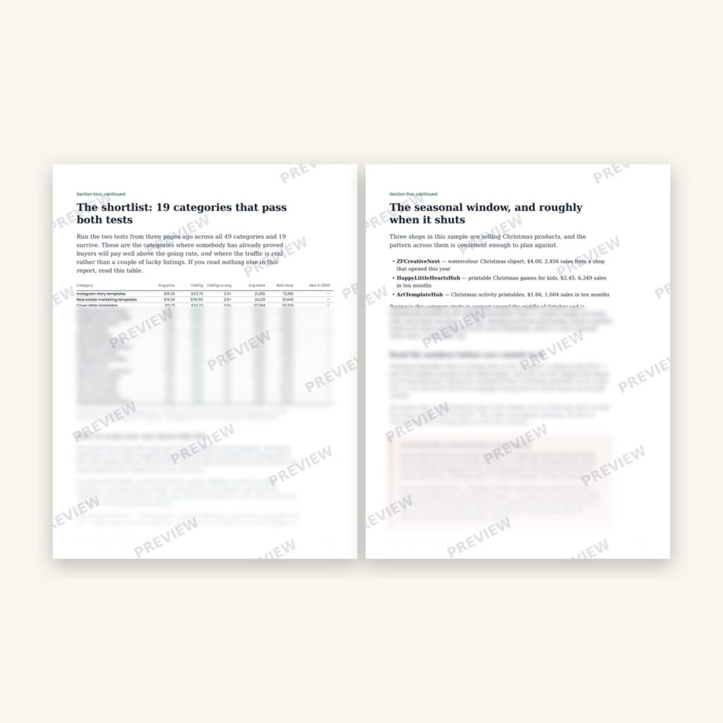Product preview 6
